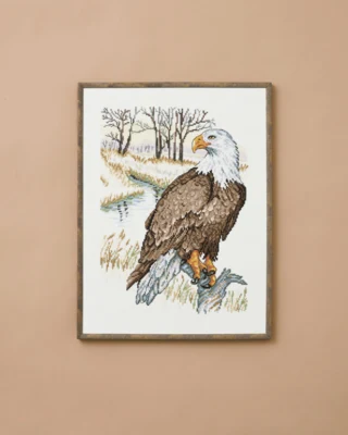 Kit da ricamo Aquila 30 x 40 cm