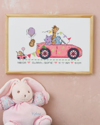 Kit da Ricamo Clara-Sofie R5799 30 x 20 cm