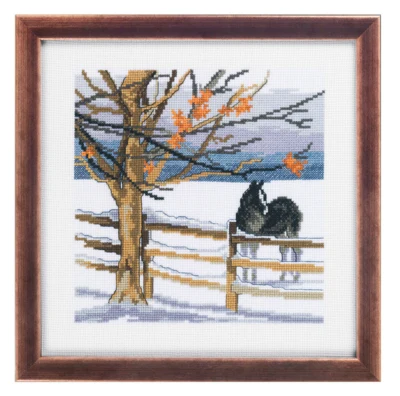 Kit per ricamo Cavallo 25 x 25 cm R5388