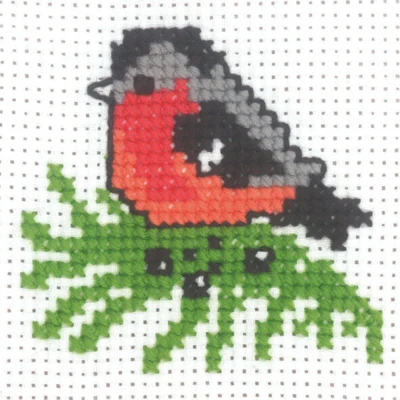 Kit da Ricamo Cincia 10 x 10 cm
