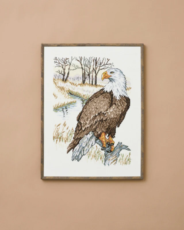 Kit da ricamo Aquila 30 x 40 cm