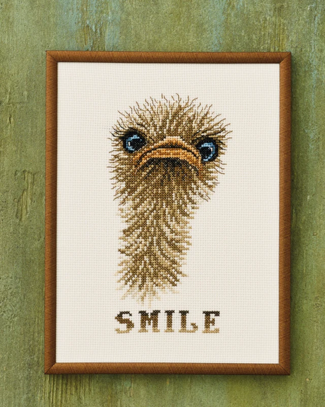 Kit Ricamo "Smile" struzzo 18x24 cm R5703