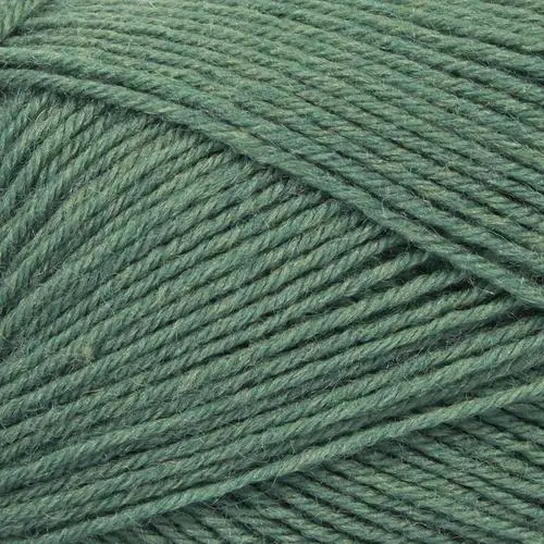 Mayflower 1 Class 26 Verde lucertola
