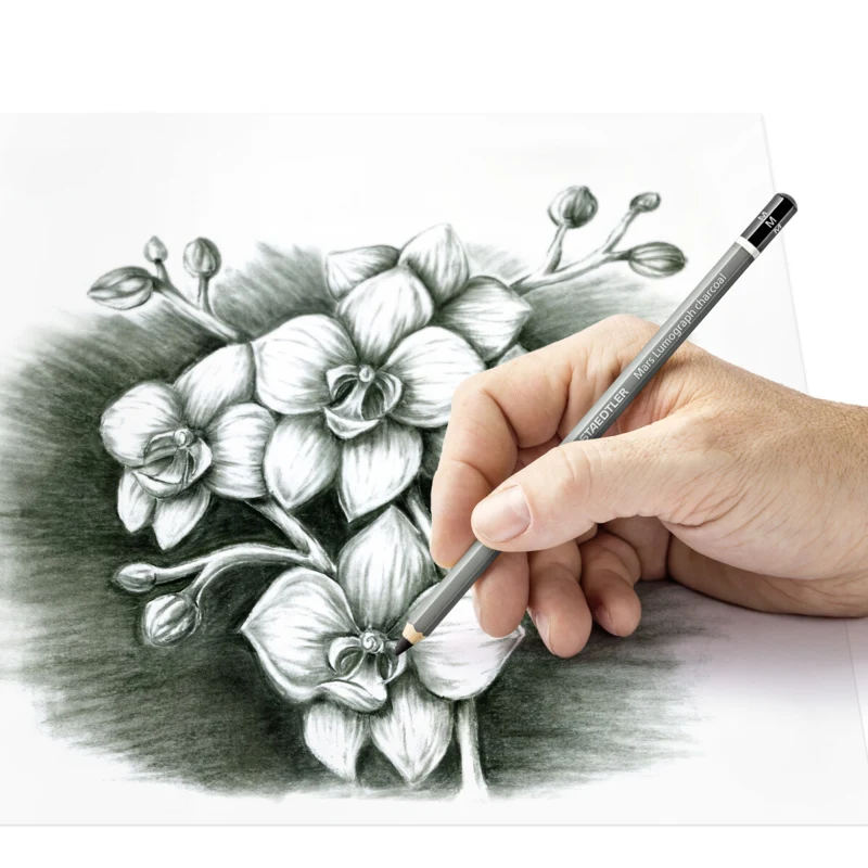 STAEDTLER Mars Lumograph carboncino e moncone da disegno, 3 + 1 pz – Applicazione