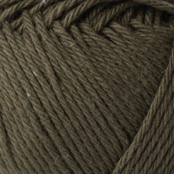 Yarn and Colors Favorite 091 Cachi