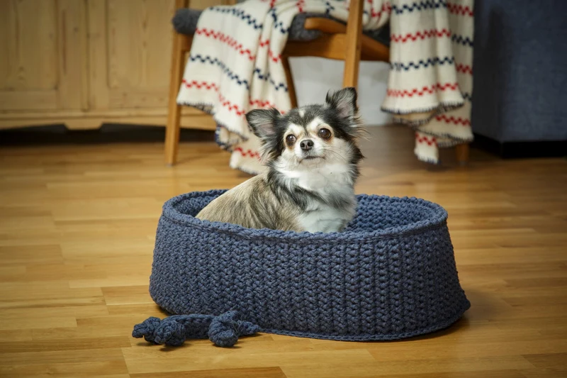 92182 Hundekurv og kødben