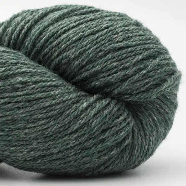 BC Garn Bio Balance 05 Blu verde