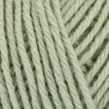 Onion Fino Organic Cotton+Merino Wool 506 Verde chiaro