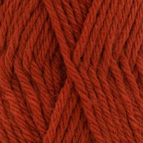 Phildar Partner 3,5 Zucca