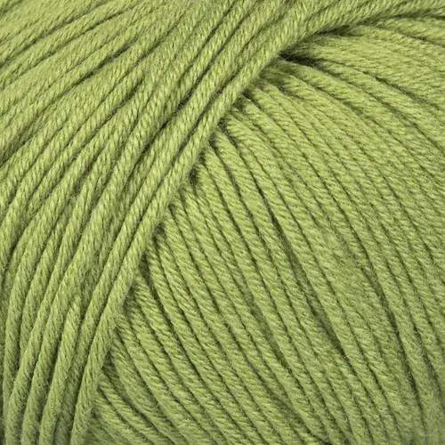 Mayflower Alliance 022 Verde militare