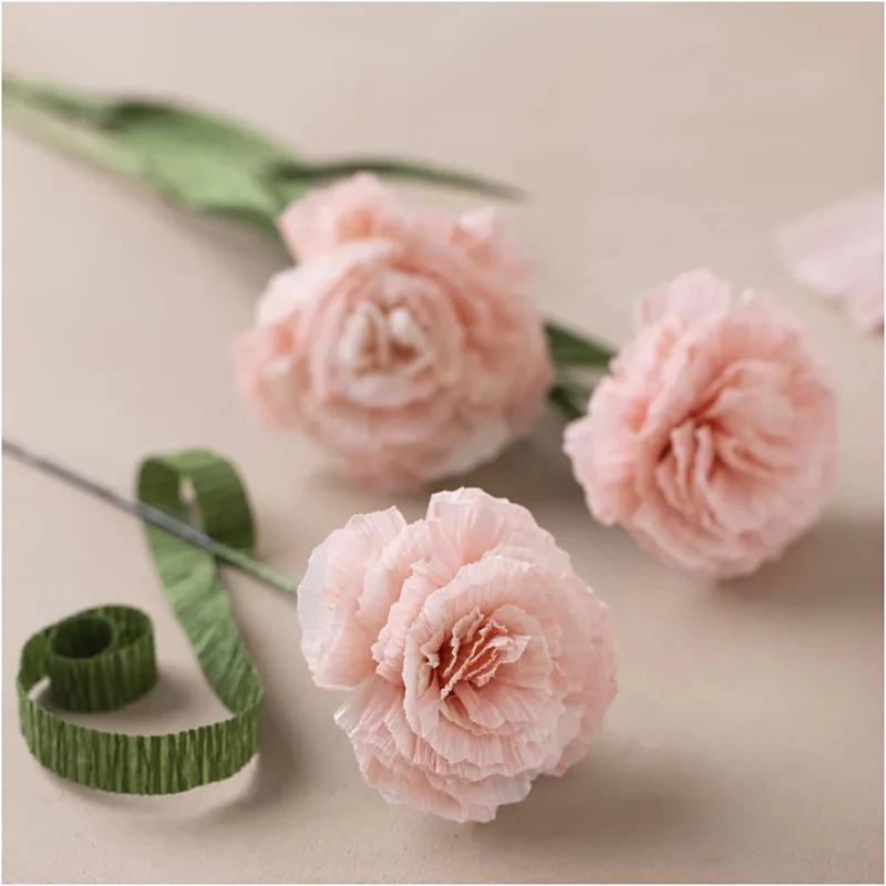 Mini DIY Kit Carta Crespa - Garofani