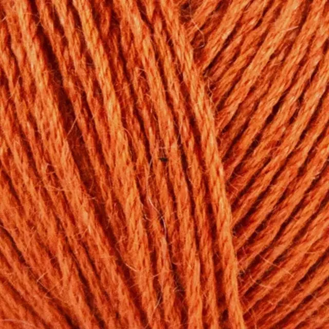 Onion Organic Cotton+Nettles+Wool 1317 Arancia