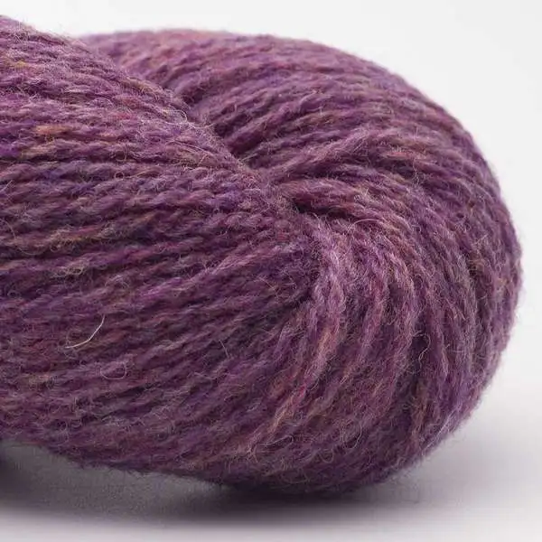 Bio Shetland 32 Edera