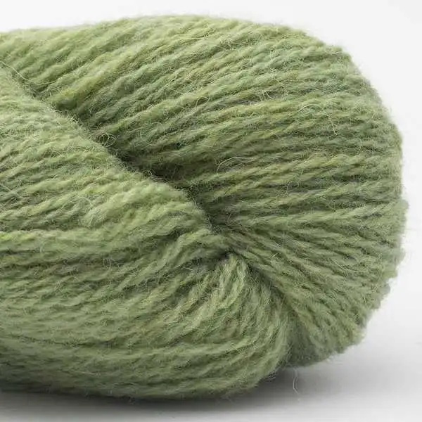 Bio Shetland 11 Verde tilia