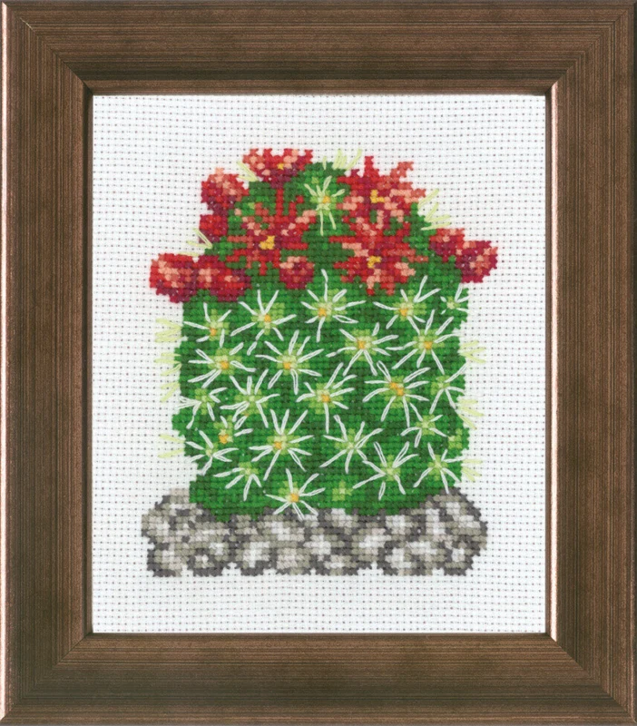 Kit Ricamo Cactus con Rosso R5380 10 x 12 cm