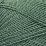 Mayflower 1 Class 26 Verde lucertola