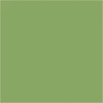 Plus Color Hobbymaling 60 ml Leaf Green