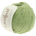 Lana Grossa Landlust Sommerseide 03 Verde delicato