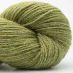 BC Garn Bio Balance 04 Lime