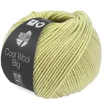 Lana Grossa Cool Wool Big 1029 Verde betulla