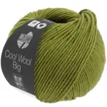 Lana Grossa Cool Wool Big 1021 Verde maggio