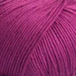 Mayflower Alliance 017 Prugna