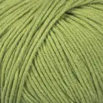 Mayflower Alliance 022 Verde militare