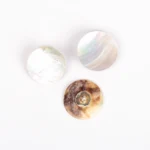 DROPS Con anello bianco 20 mm (n. 524)