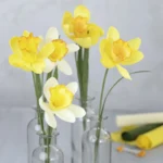 Gambo del fiore
