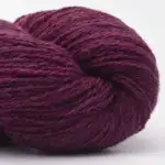 Bio Shetland 31 Prugna