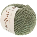 Lana Grossa Landlust Soft Tweed 90 35 Verde salvia mélange