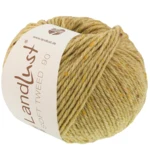 Lana Grossa Landlust Soft Tweed 90 34 Beige verde mélange