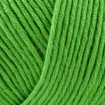 Onion Organic Cotton 120 Verde erba