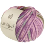 Lana Grossa Landlust Die Sockenwolle 611 Orchidea/Marrone/Verde maggio/Ecru/Rosa/Oliva