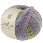 Lana Grossa Landlust Die Sockenwolle 618 Blu violetto/Jeans/Azzurro chiaro/Grigio chiaro-/scuro/Giada/Pistacchio/Lilla rigato