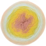 Rico Design Creative Wool Dégradé Super 6 09 Salmone-verde