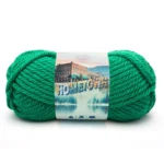Lion Brand Hometown 135-130K Green Bay