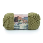 Lion Brand Hometown 135-179D Lakeland Olive