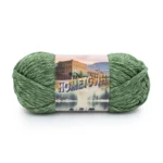 Lion Brand Hometown 135-241G Everglades